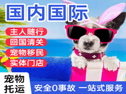 乌审旗嘎鲁图航空快运国际宠物托运 【国